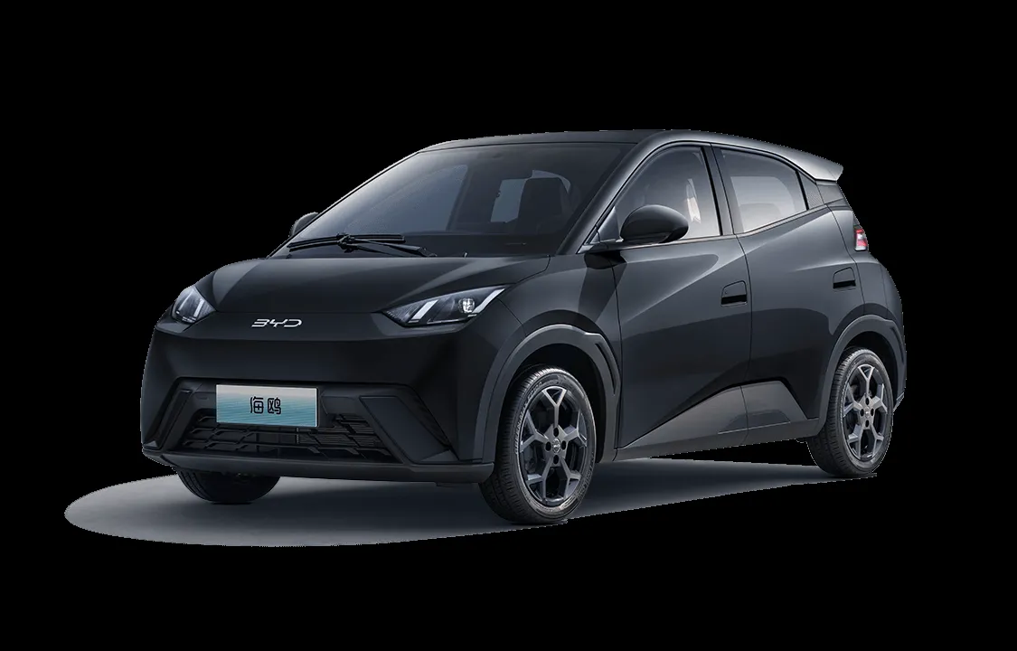 Warna BYD Seagull